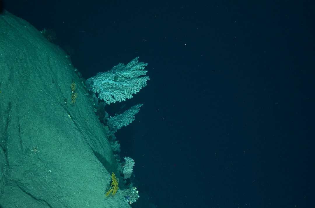 Okyanus derinliği görünümü