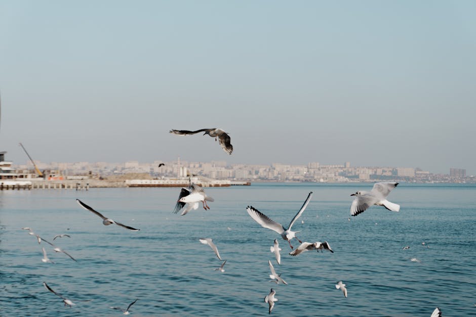 Trump İran Tehdidini 5 Gün Erteledi! Gerginlik Sürüyor...