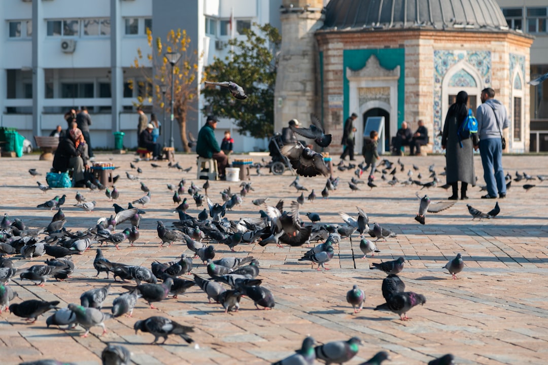 İzmir Ramazan Bayramı hava durumu