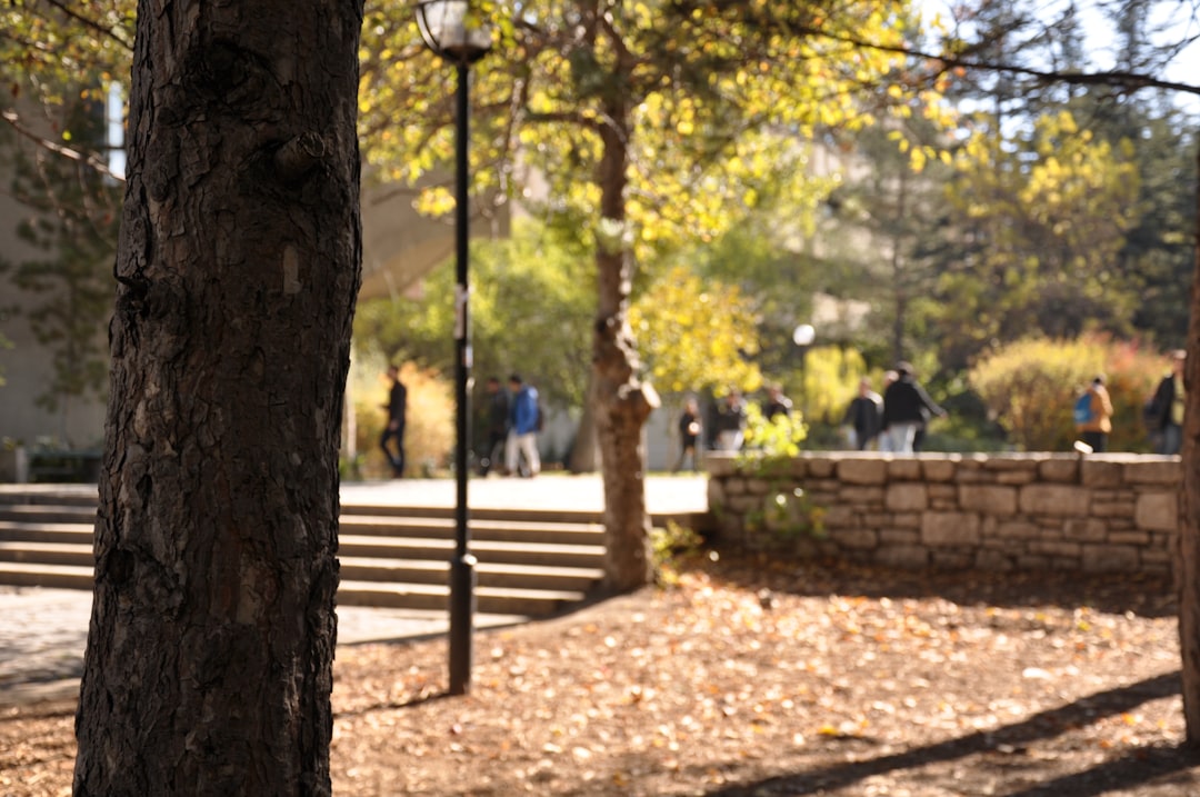 Neoliberal Politikaların Akademide Yarattığı Kriz ve Üniversite Diplomasının Değersizleşmesi!