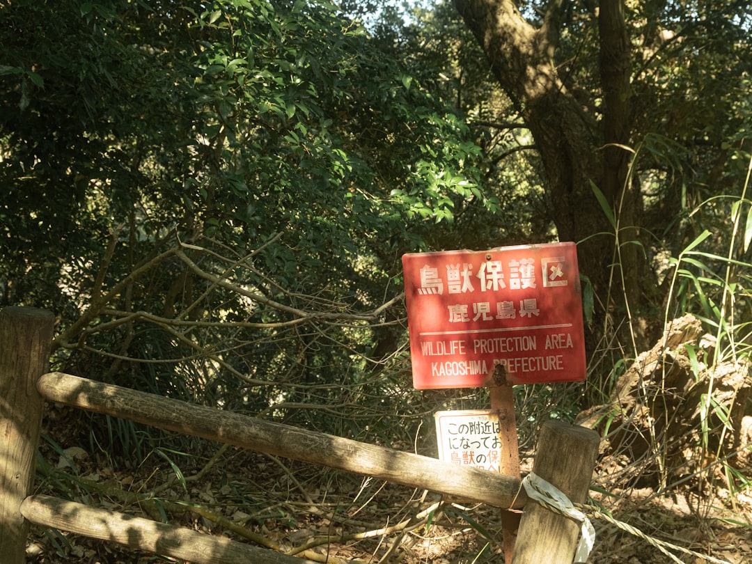 Arama Kurtarma Operasyonu