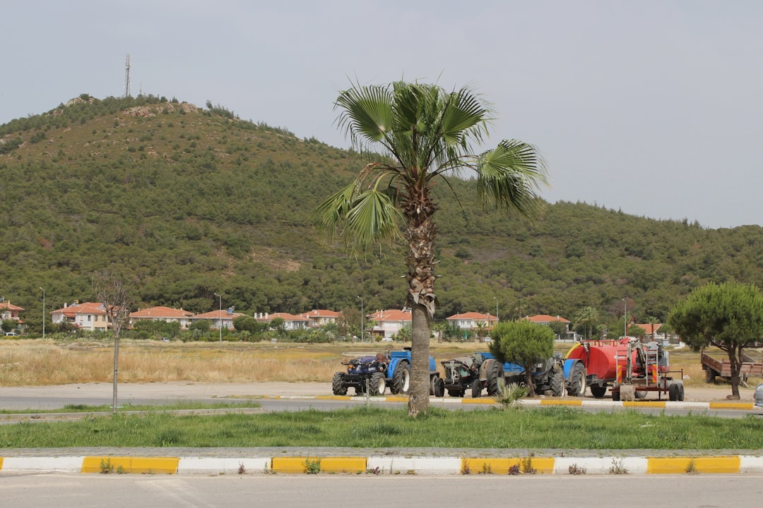 Geleceği Aç Bırakmak: Beslenme Krizinin Derin Kültürel ve Ekonomik Boyutları!