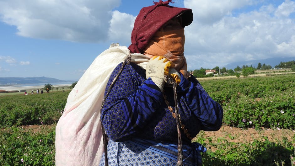 Niğde’de Mevsimlik Kürt İşçilere Silahlı Saldırı Meclis Gündeminde!