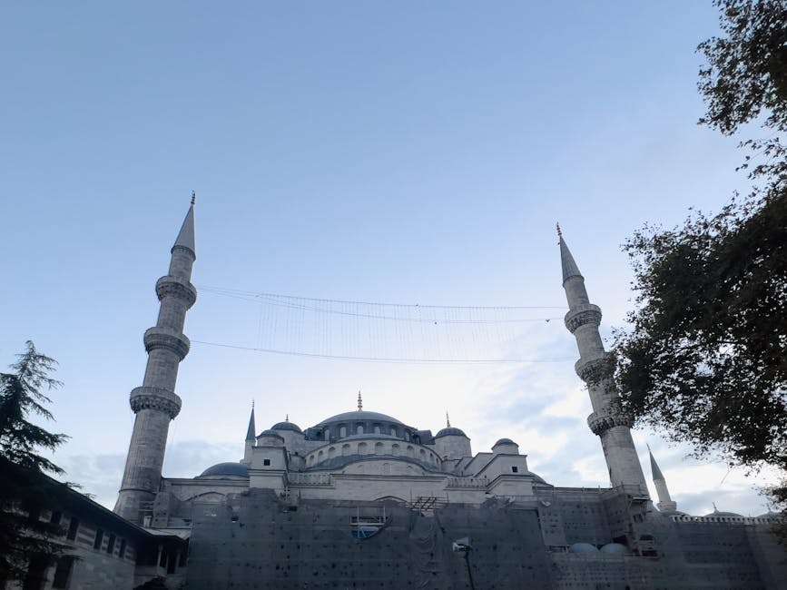 Cerrahpaşa Hastanesi yenileme projesi