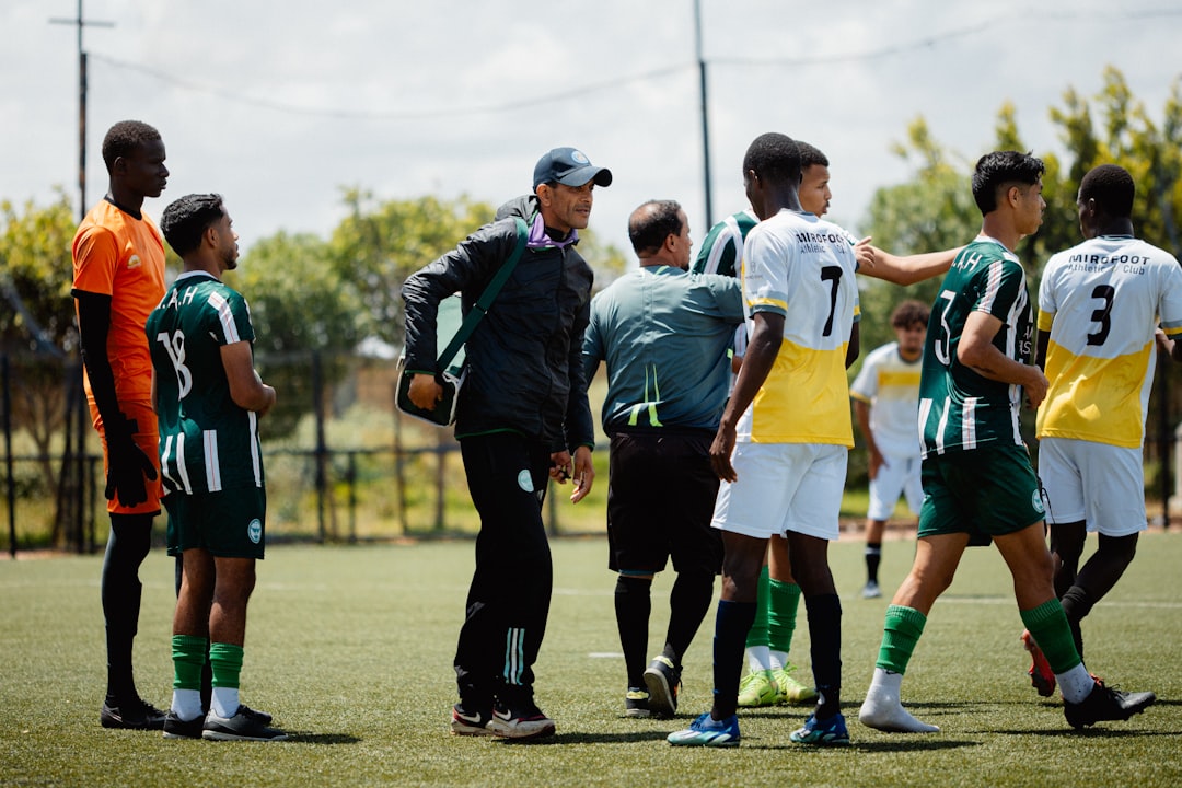 Mircea Lucescu coaching