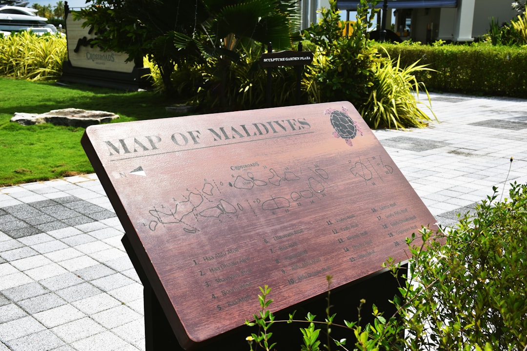 Tıp Bayramı anma töreni siperler