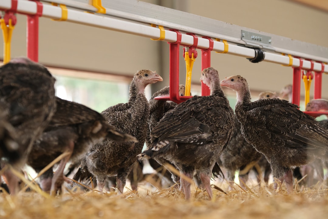 Enerji verimliliği ve teknoloji