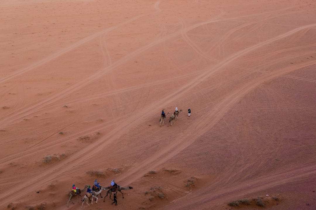 Ukrayna İHA Görevi