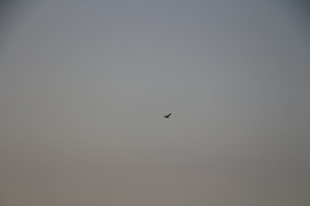 F-35 savaş uçağı ve İran hava savunma sistemleri