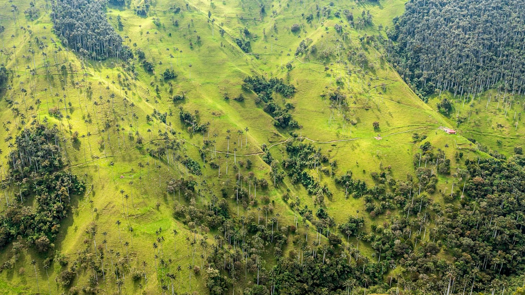 Kolombiya’da Askeri Uçak Kazası: 1 Ölü, 77 Yaralı, 47 Kayıp!