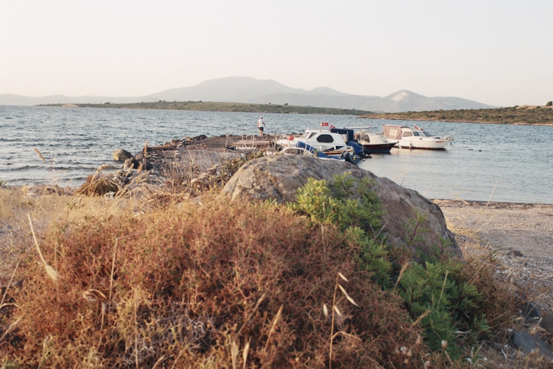 Gediz Nehri kirliliği, İzmir Körfezi