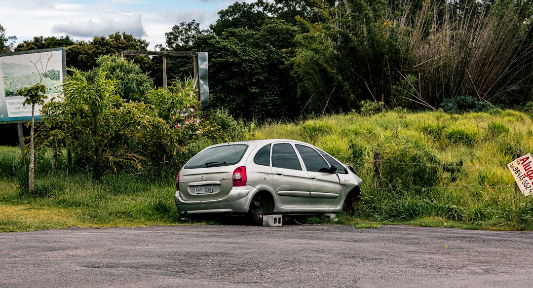 Traffic accident on a rural road