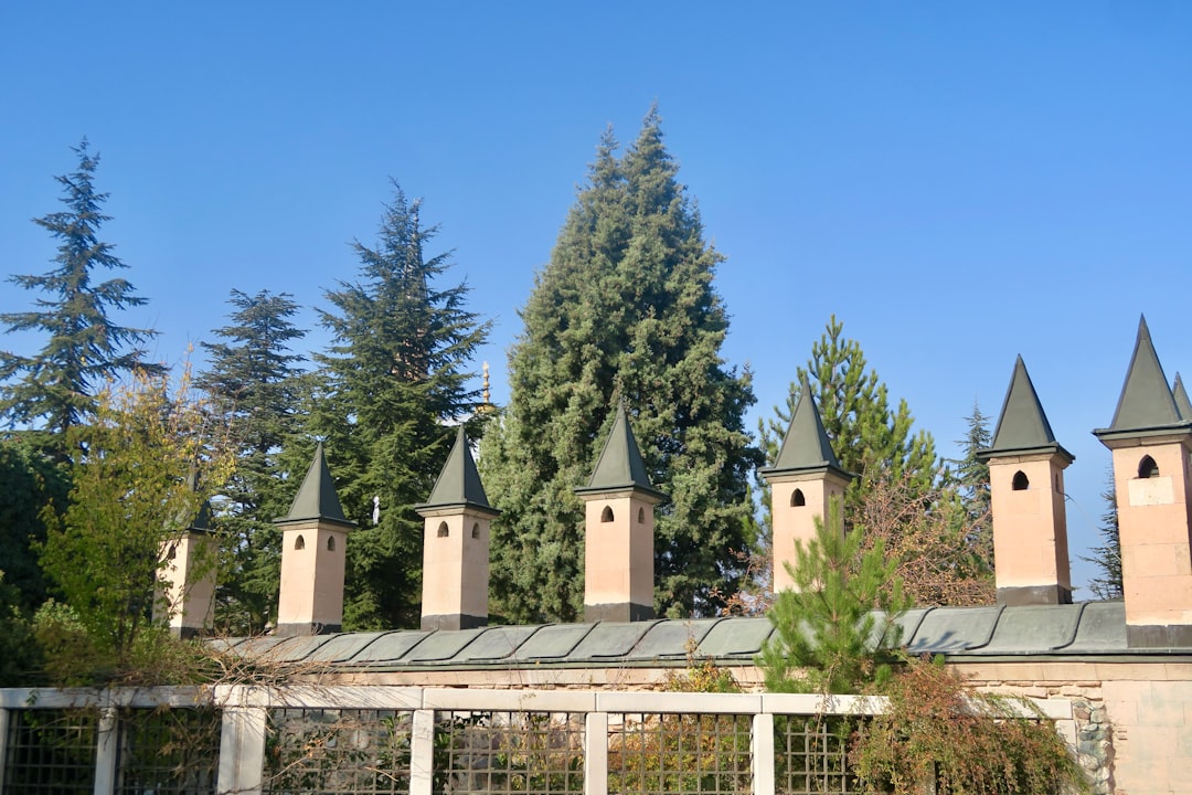 Eskişehir'de hobi bahçesi