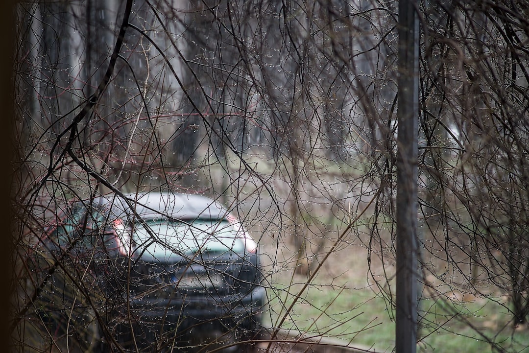 Park halindeki otomobilde genç ölüm olay yeri inceleme