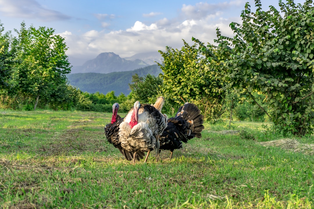 Community support for seasonal workers