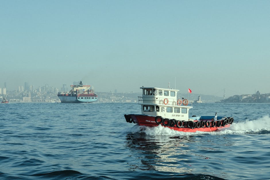 Ships passing Hormuz Strait