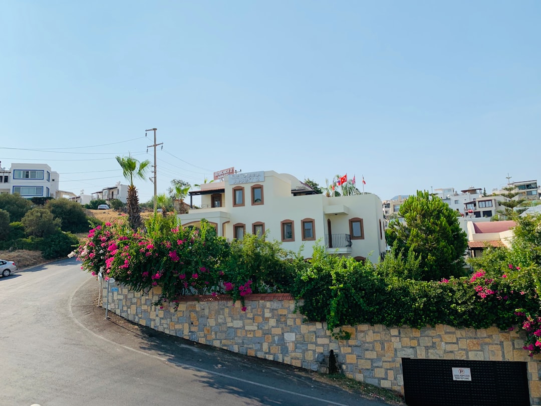 Bodrum villa manzarası