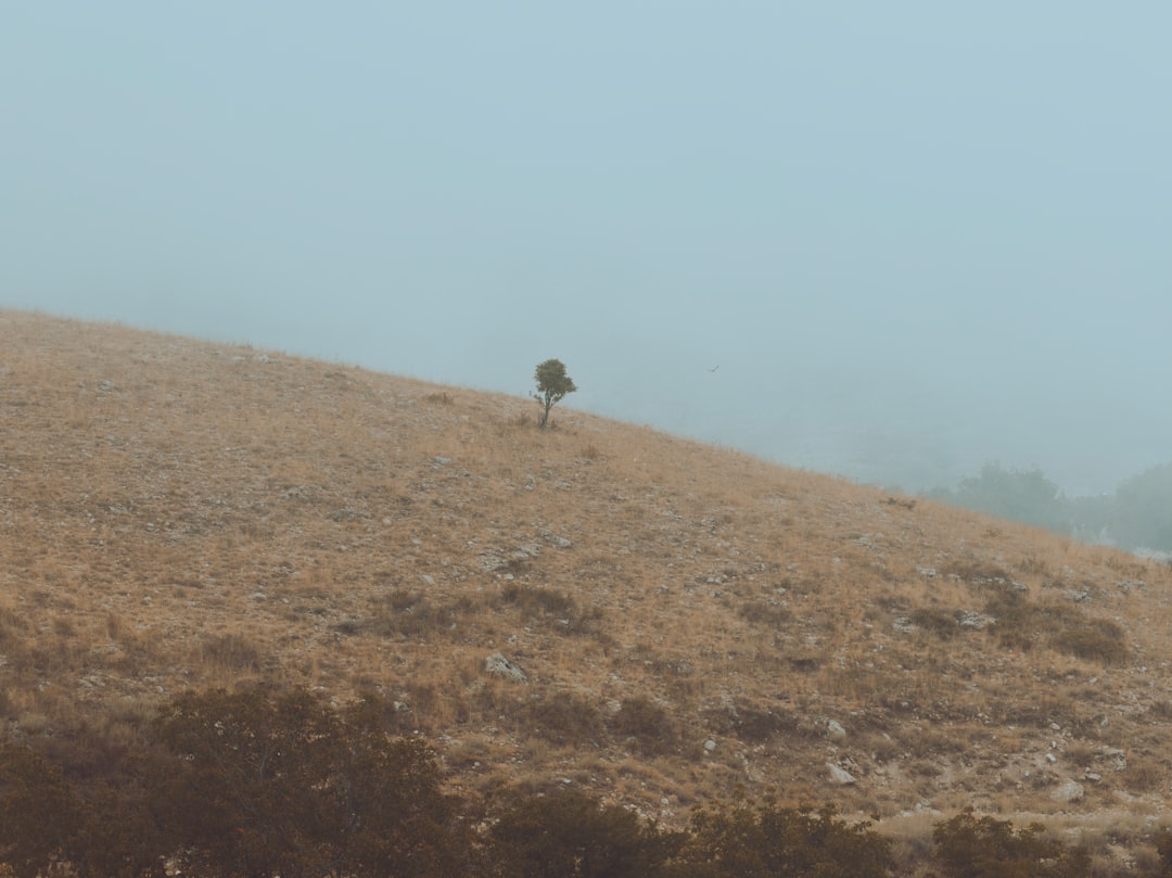 İsrail Askerleri Lübnan'da Pusuya Düşürülünce Ne Oldu?