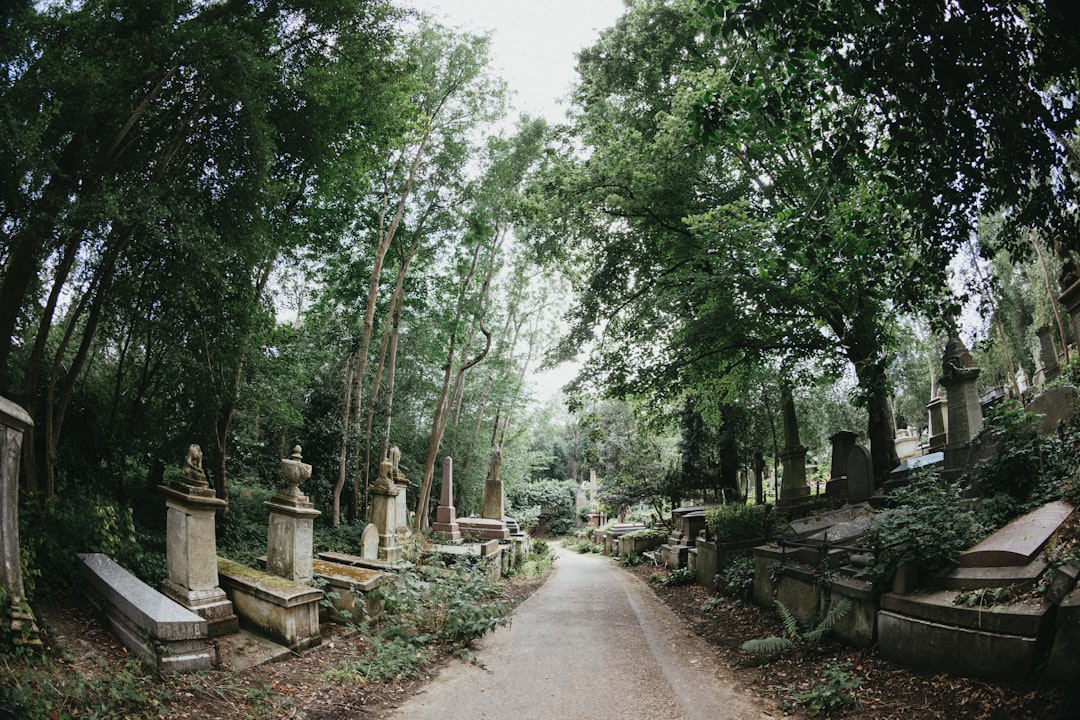 mezarlıkta durgun sessizlik