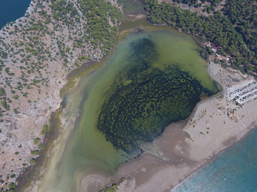 Göcek Osmanağa Günlüklü Koyu görüntüsü