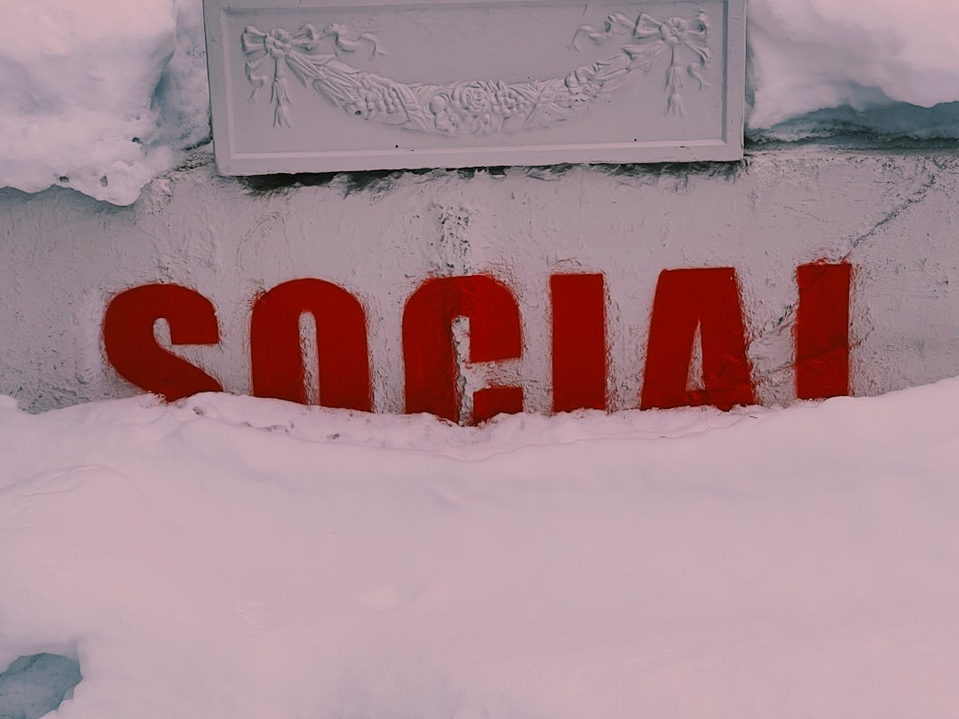 Sosyalist Enternasyonal Online Toplantısı