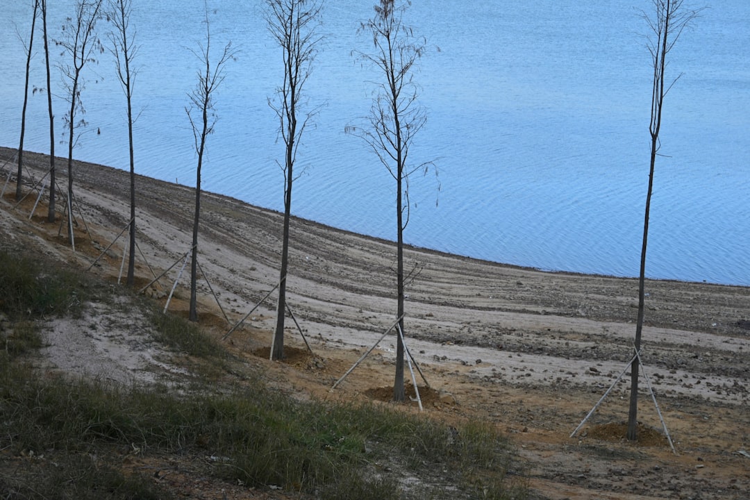 Sivas Kösedağ’daki Doğa Mücadelesi Mahkemede!