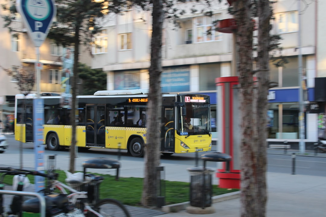 İstanbul minibüsler ve trafik